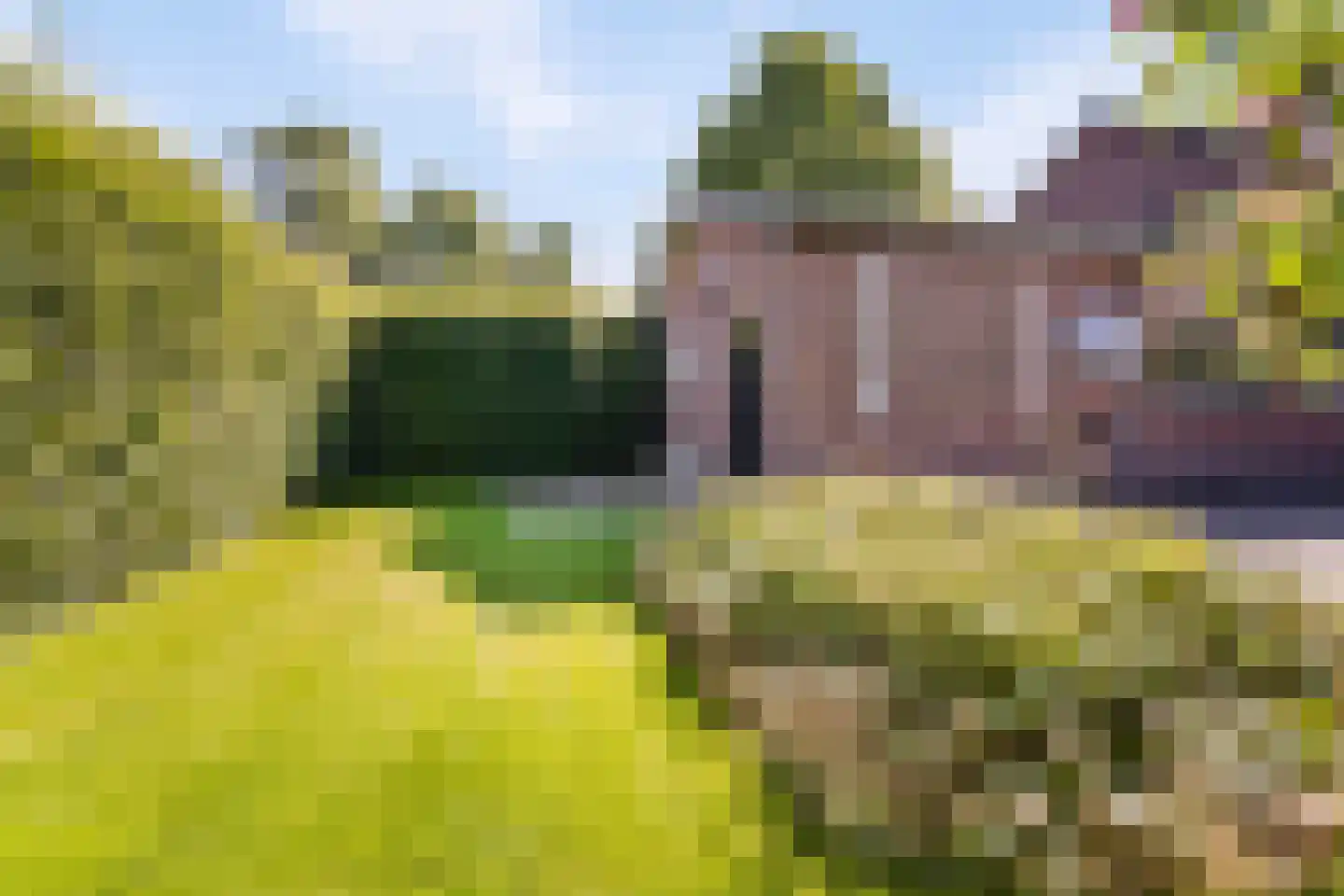 Riegshoogtendijk 57 Hollandscheveld thumbnail 39
