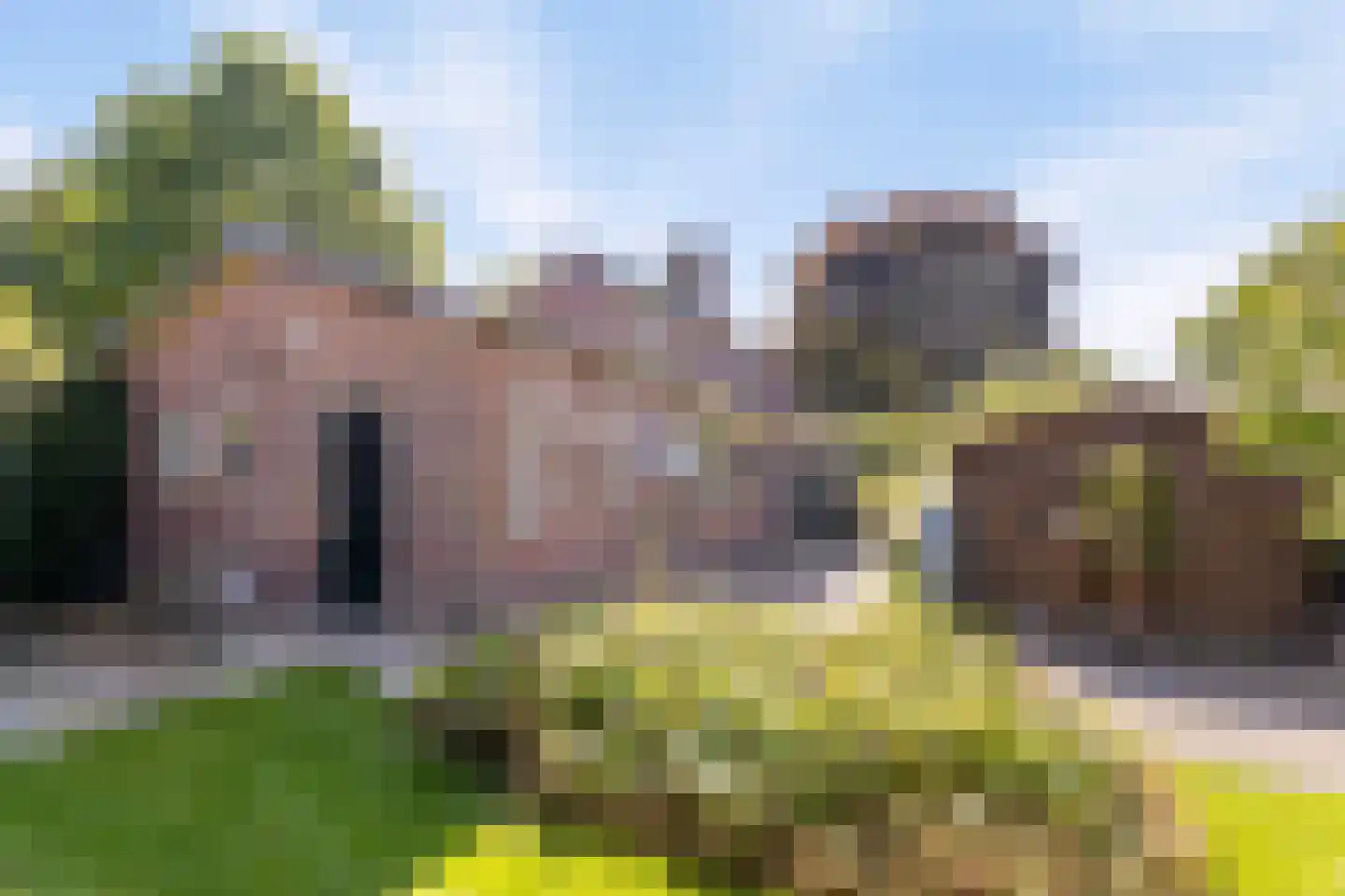 Riegshoogtendijk 57 Hollandscheveld thumbnail 4