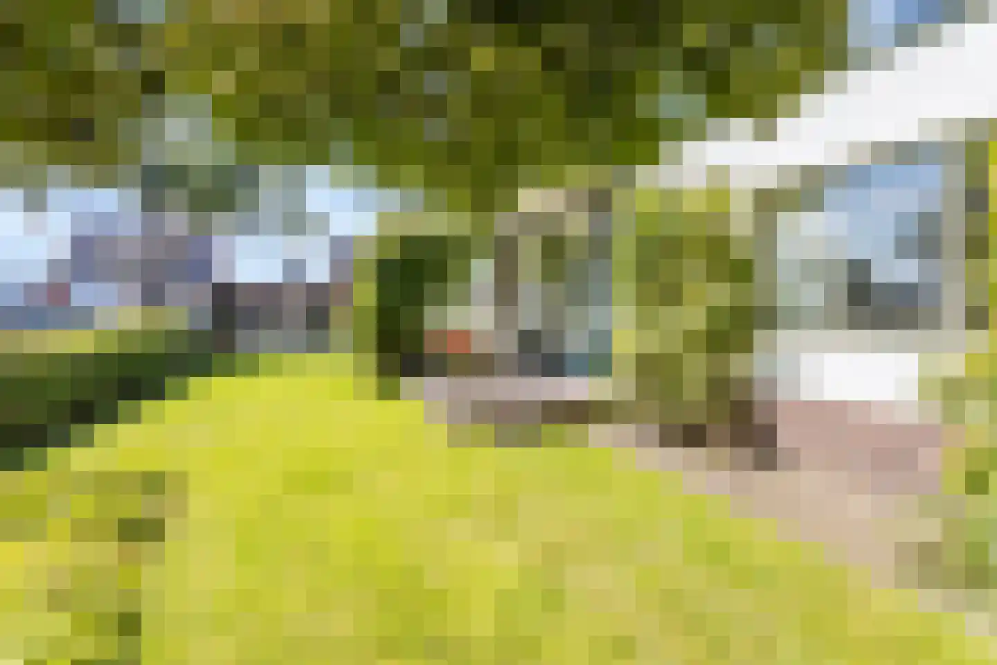 Riegshoogtendijk 57 Hollandscheveld thumbnail 41