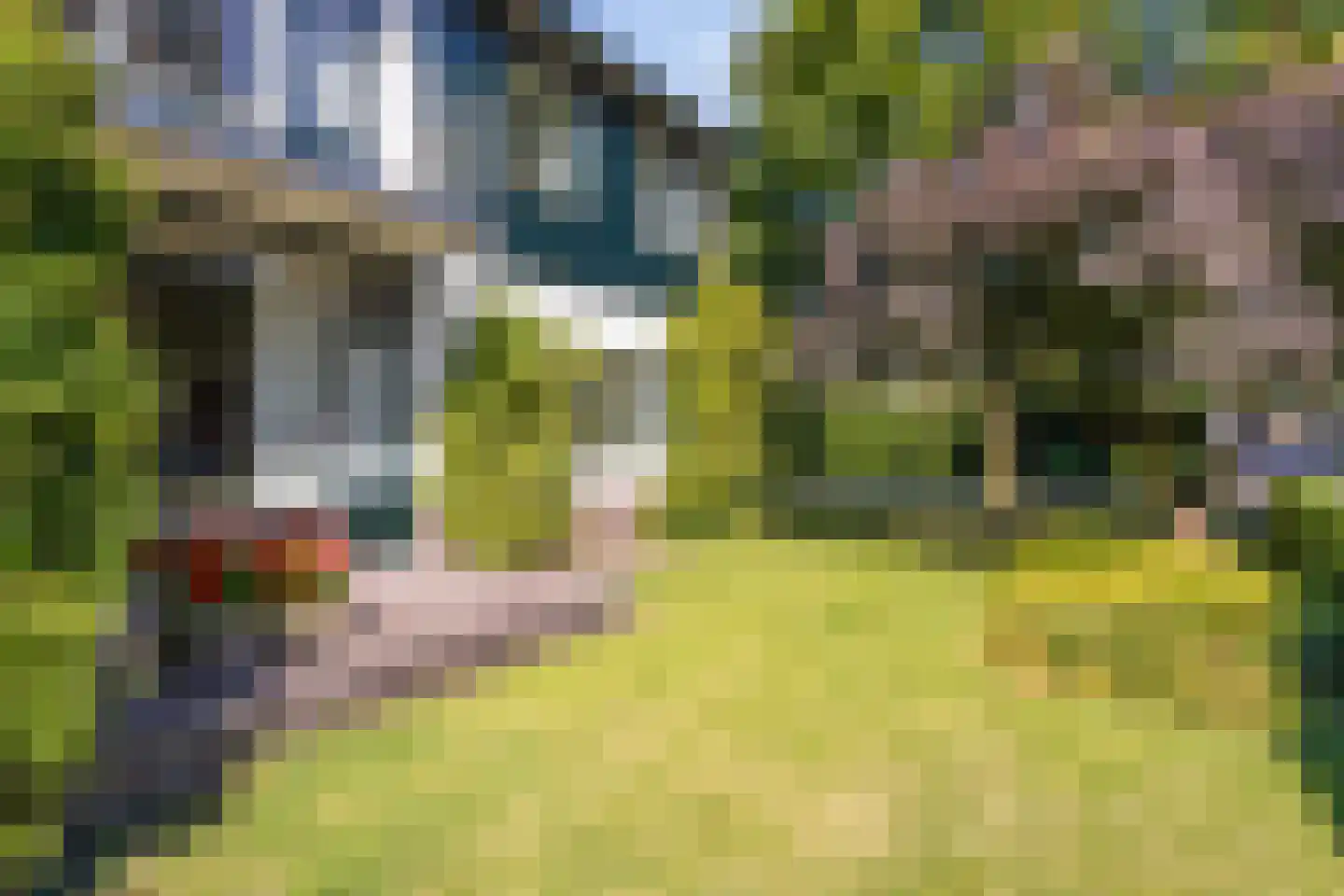 Riegshoogtendijk 57 Hollandscheveld thumbnail 42