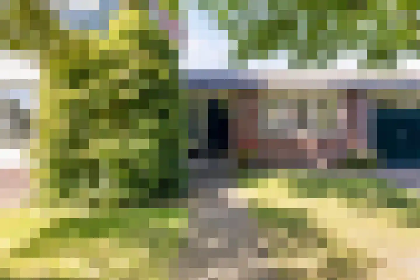 Riegshoogtendijk 57 Hollandscheveld thumbnail 43