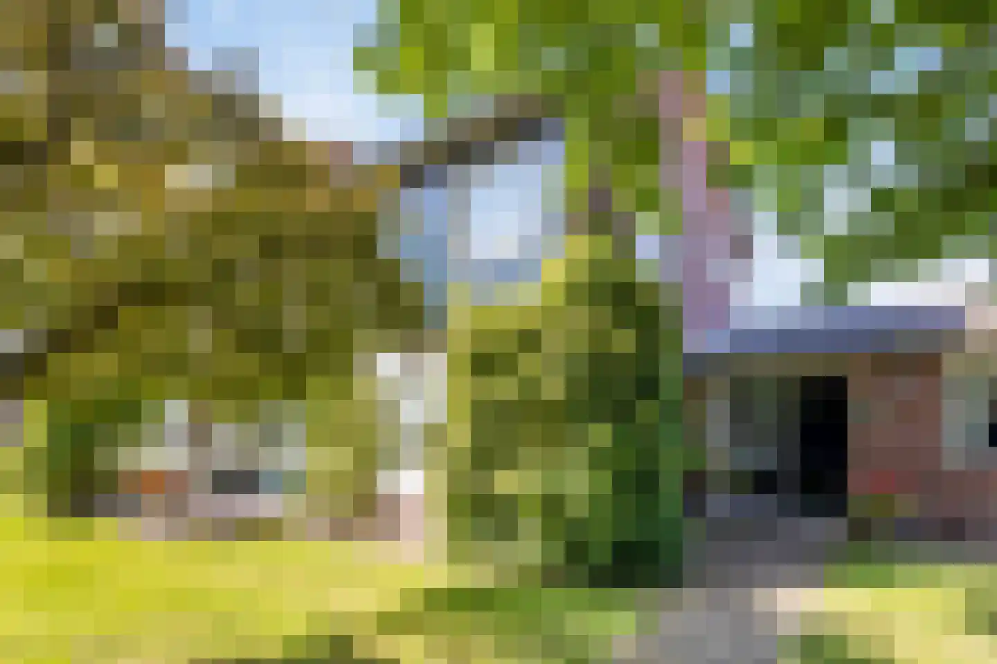 Riegshoogtendijk 57 Hollandscheveld thumbnail 44