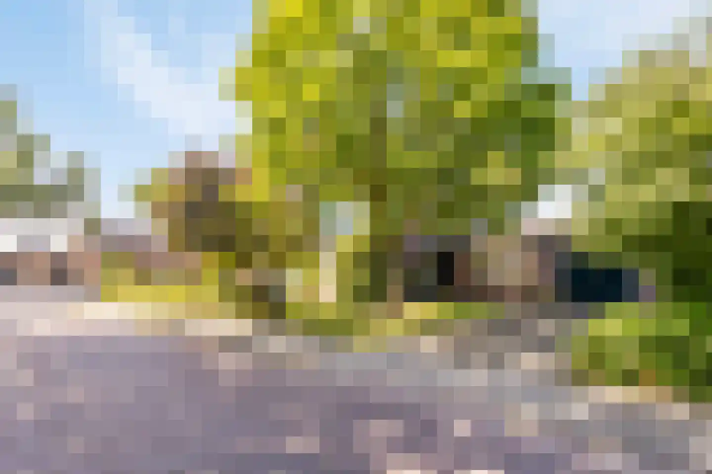 Riegshoogtendijk 57 Hollandscheveld thumbnail 45