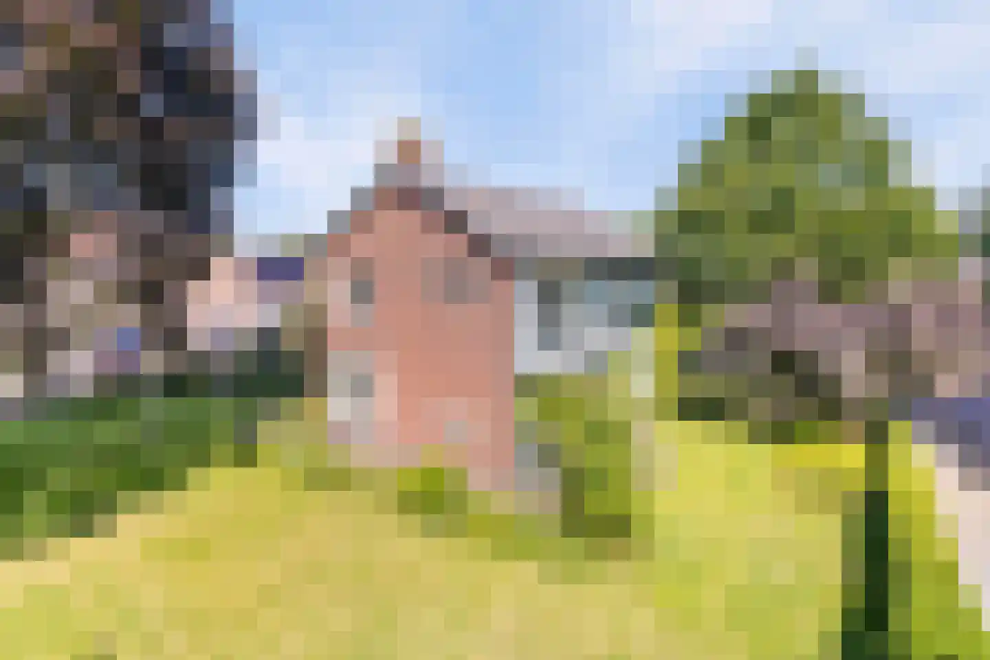 Riegshoogtendijk 57 Hollandscheveld thumbnail 46