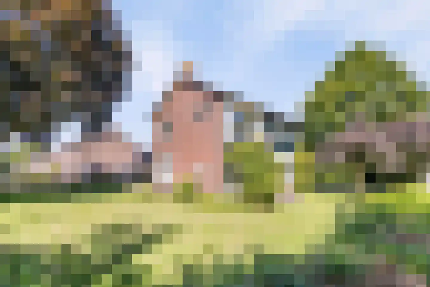 Riegshoogtendijk 57 Hollandscheveld thumbnail 47