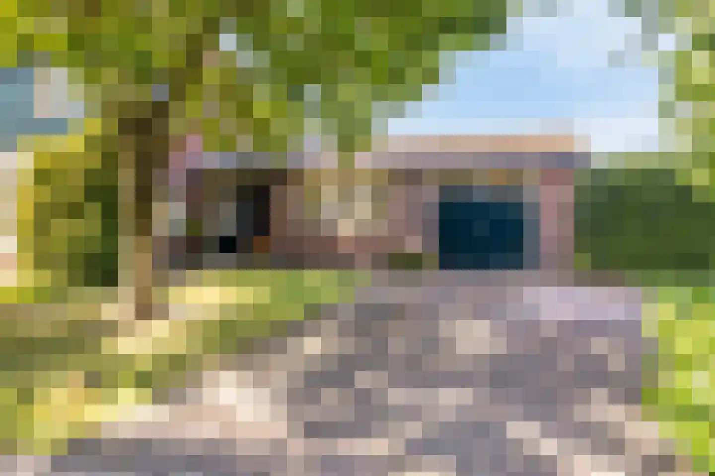Riegshoogtendijk 57 Hollandscheveld thumbnail 5