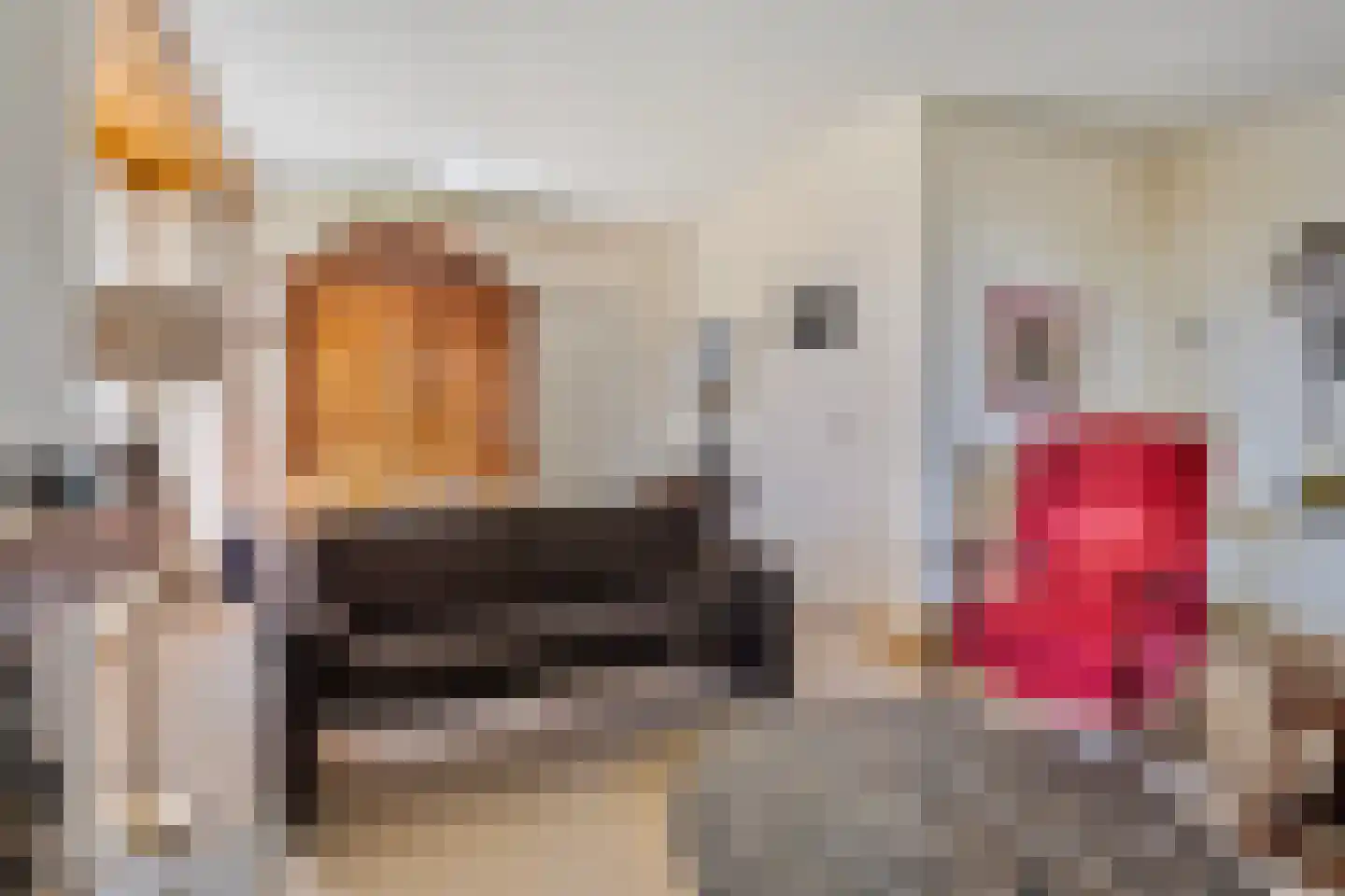 Riegshoogtendijk 57 Hollandscheveld thumbnail 9