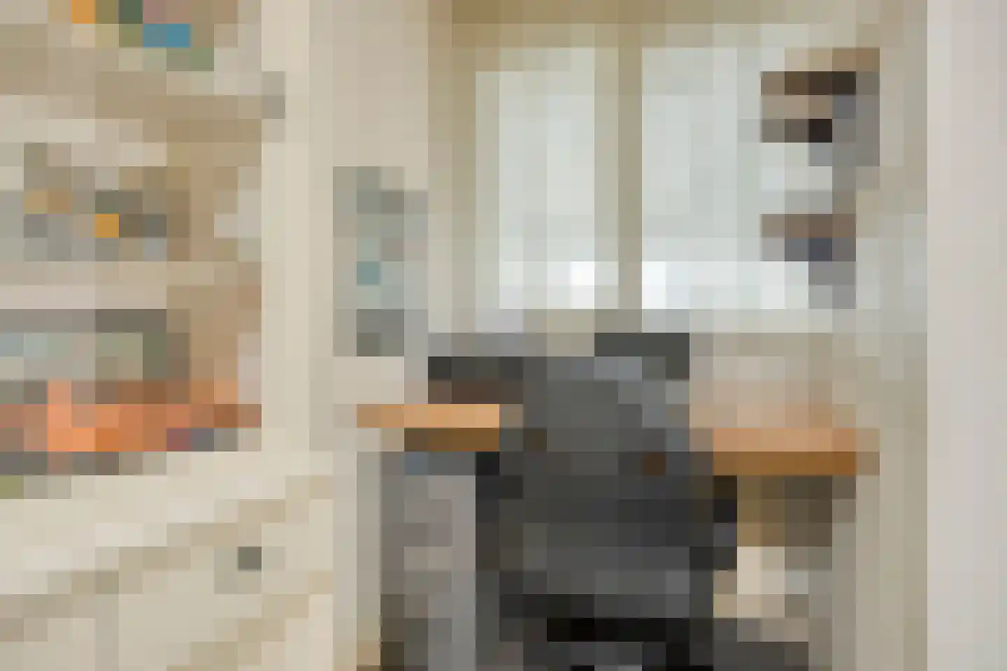 Riegshoogtendijk 82 Hollandscheveld thumbnail 11