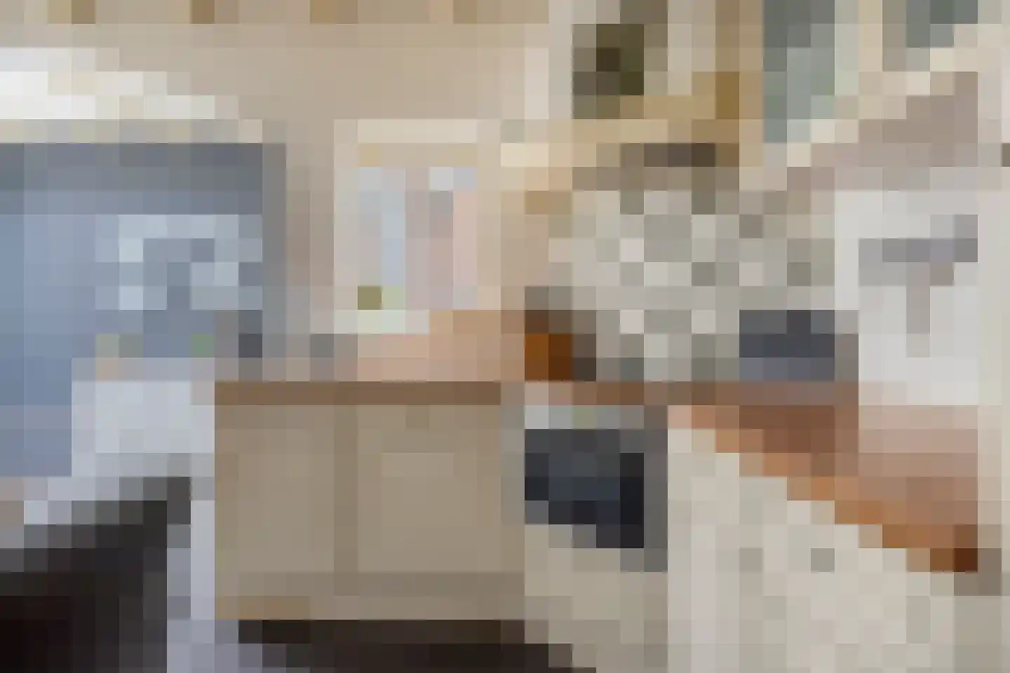 Riegshoogtendijk 82 Hollandscheveld thumbnail 15