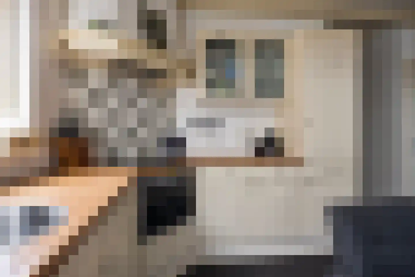 Riegshoogtendijk 82 Hollandscheveld thumbnail 16