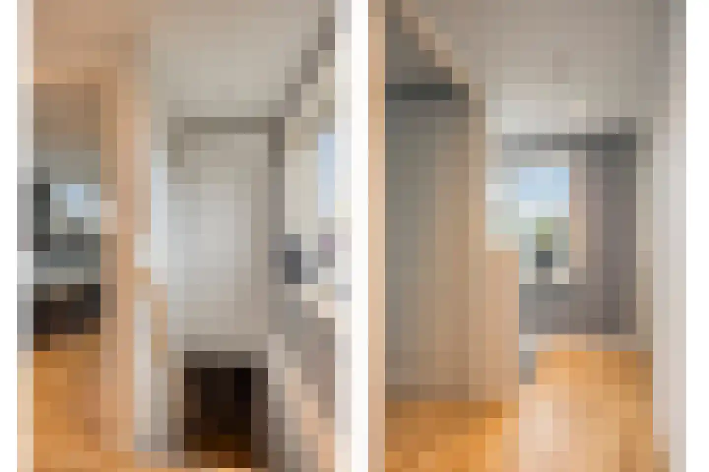 Riegshoogtendijk 82 Hollandscheveld thumbnail 22