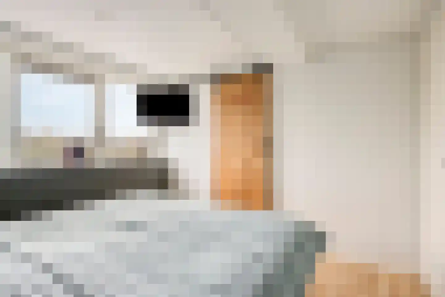 Riegshoogtendijk 82 Hollandscheveld thumbnail 24
