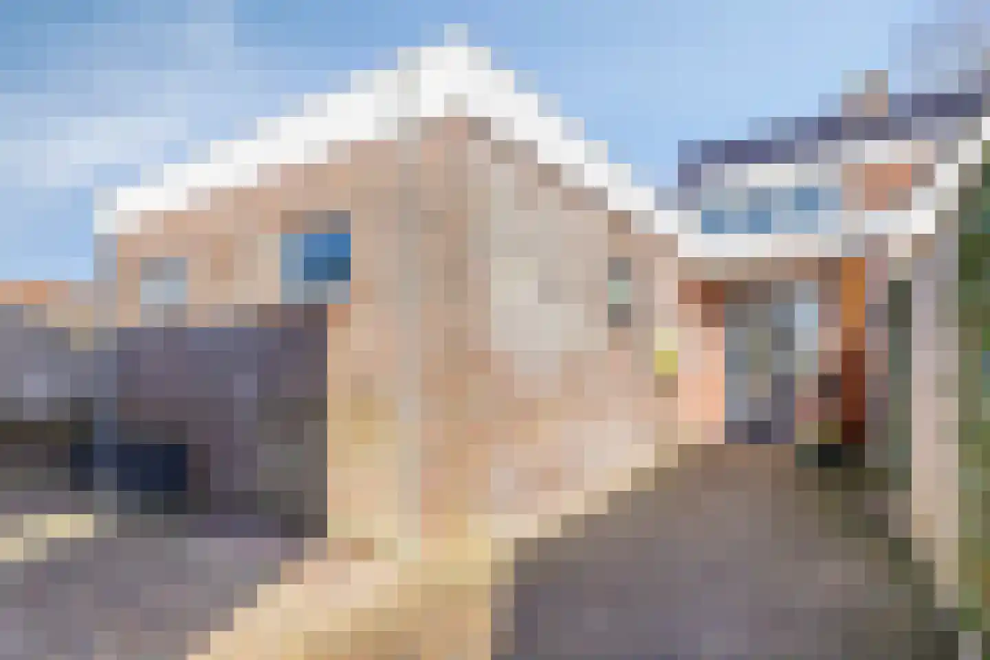 Riegshoogtendijk 82 Hollandscheveld thumbnail 27