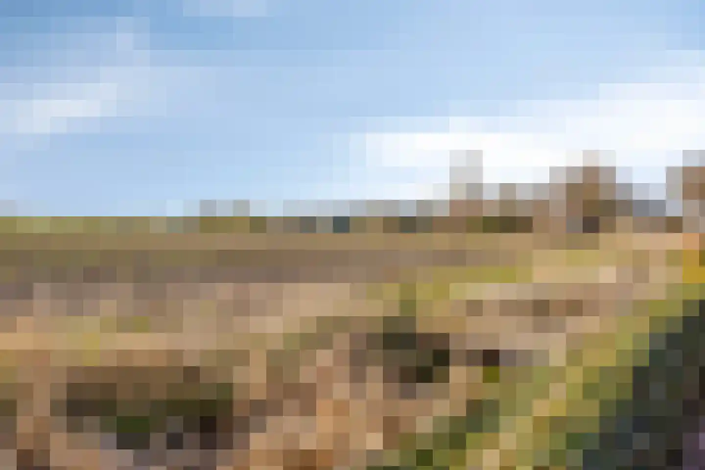 Riegshoogtendijk 82 Hollandscheveld thumbnail 34