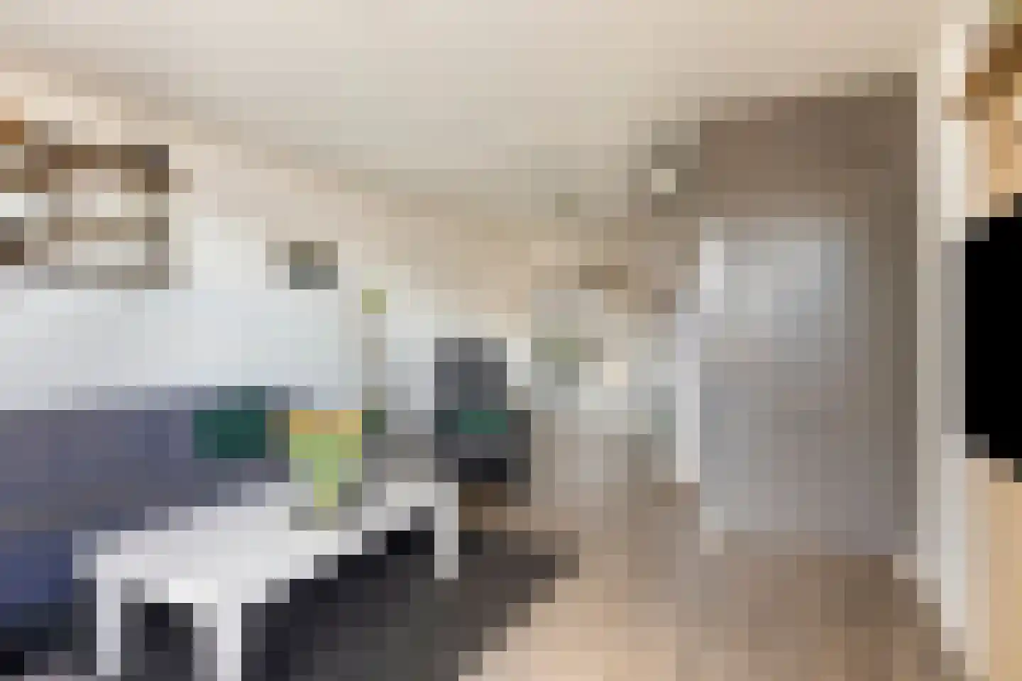 Riegshoogtendijk 82 Hollandscheveld thumbnail 4