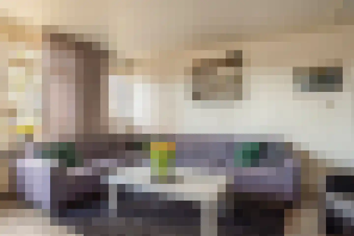 Riegshoogtendijk 82 Hollandscheveld thumbnail 5