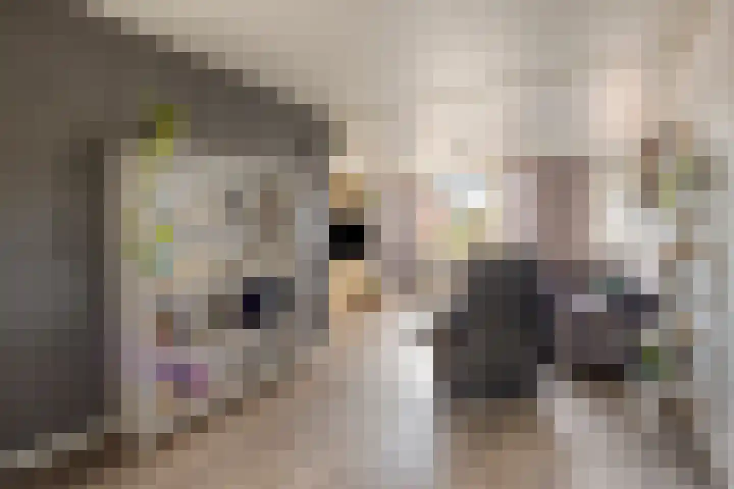 Riegshoogtendijk 82 Hollandscheveld thumbnail 7