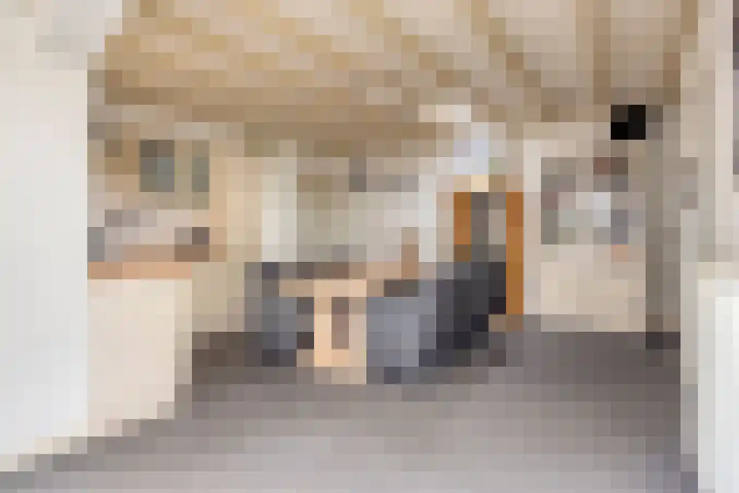 Riegshoogtendijk 82 Hollandscheveld thumbnail 9