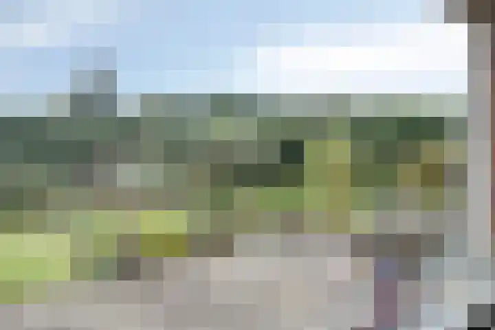 Riekele Prinsstraat 1 Groningen thumbnail 11