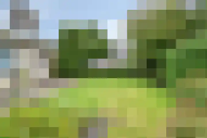 Riekele Prinsstraat 1 Groningen thumbnail 12