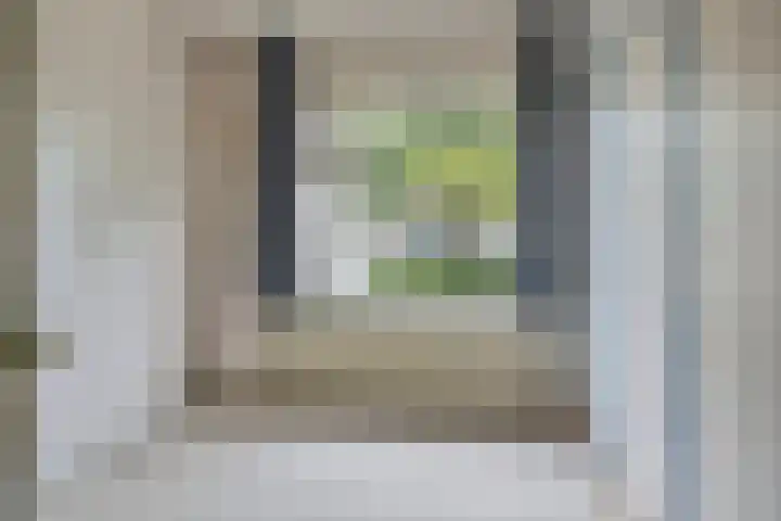Riekele Prinsstraat 1 Groningen thumbnail 14