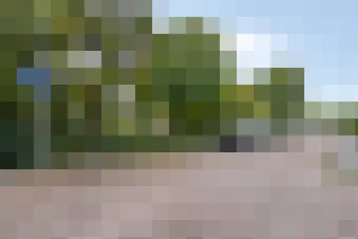 Riekele Prinsstraat 1 Groningen thumbnail 27