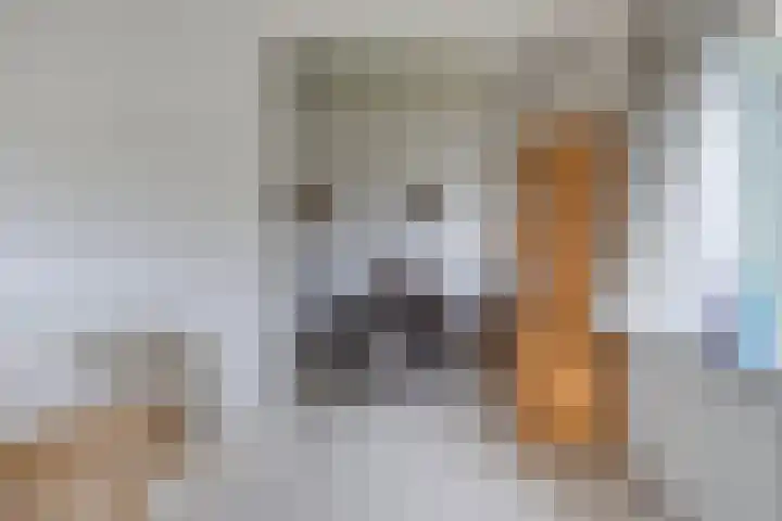 Riekele Prinsstraat 1 Groningen thumbnail 7