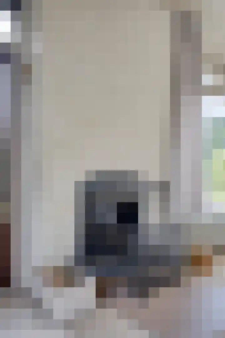 Riekele Prinsstraat 1 Groningen thumbnail 9