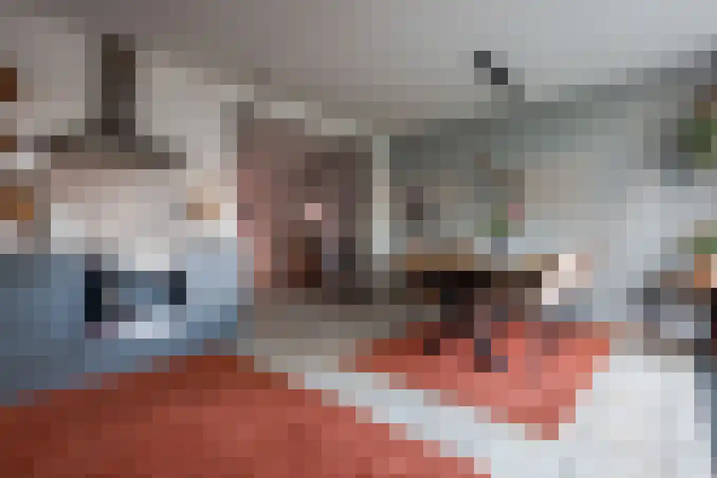 Riekhof 19 Heerlen thumbnail 16
