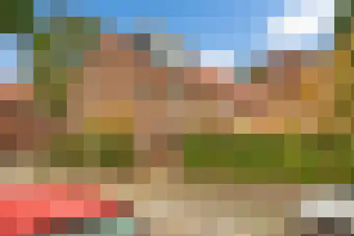 Riekstraat 12 Nijmegen thumbnail 52