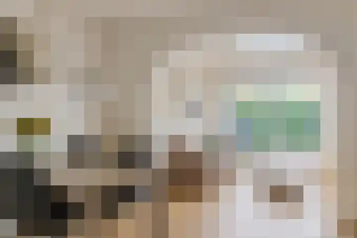 Riekusweel 20 Bruinisse thumbnail 10