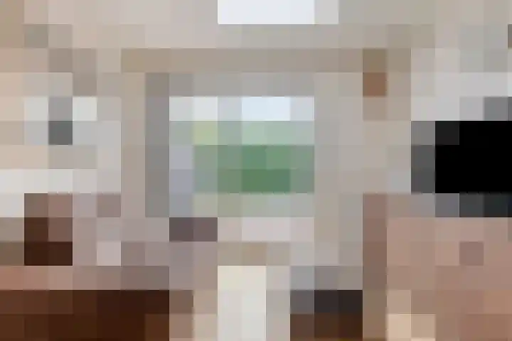Riekusweel 20 Bruinisse thumbnail 11