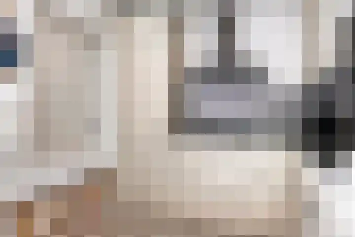 Riekusweel 20 Bruinisse thumbnail 12