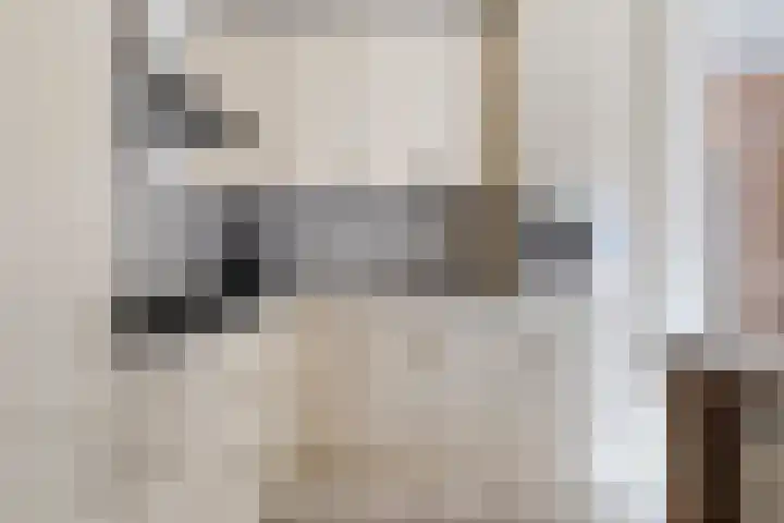 Riekusweel 20 Bruinisse thumbnail 13