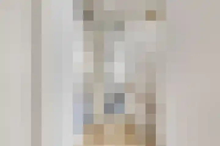 Riekusweel 20 Bruinisse thumbnail 15