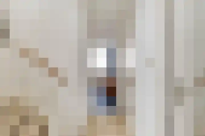 Riekusweel 20 Bruinisse thumbnail 16