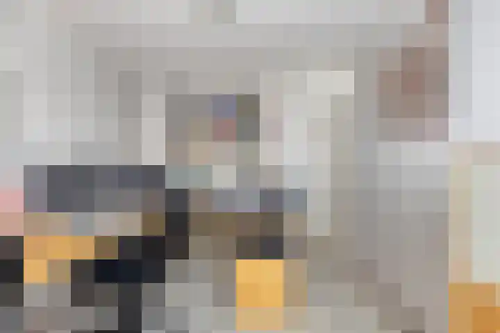 Riekusweel 20 Bruinisse thumbnail 19