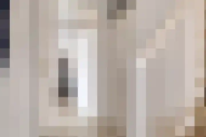 Riekusweel 20 Bruinisse foto 2