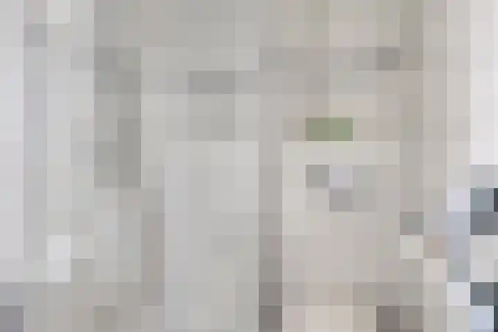 Riekusweel 20 Bruinisse thumbnail 24