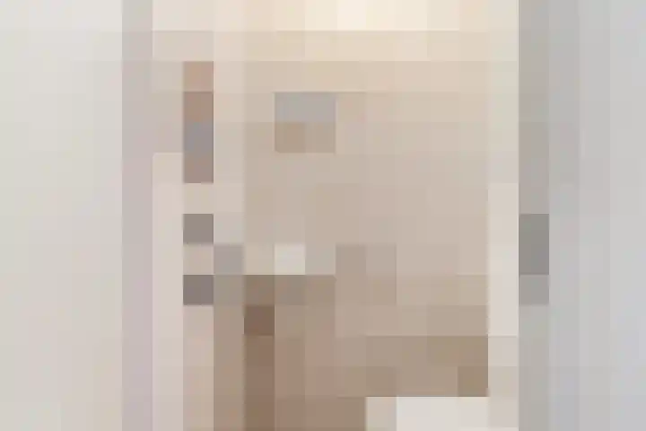 Riekusweel 20 Bruinisse foto 3