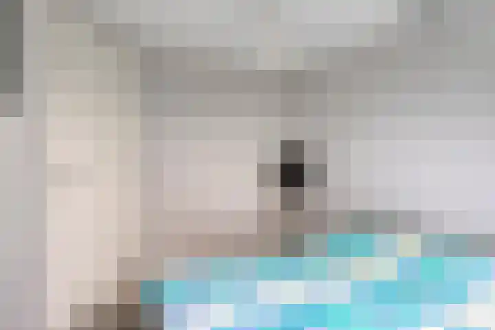 Riekusweel 20 Bruinisse thumbnail 31