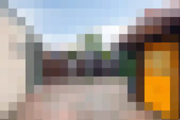 Riekusweel 20 Bruinisse thumbnail 39