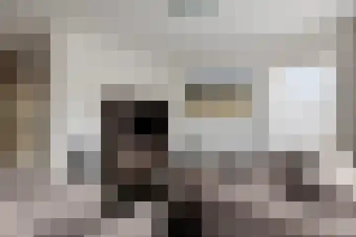 Riekusweel 20 Bruinisse thumbnail 5
