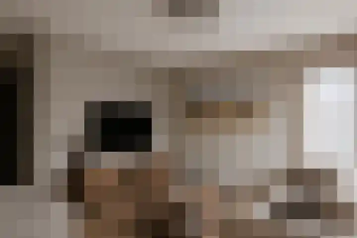 Riekusweel 20 Bruinisse thumbnail 6