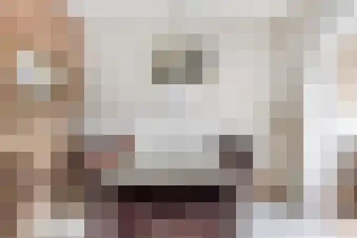 Riekusweel 20 Bruinisse thumbnail 8
