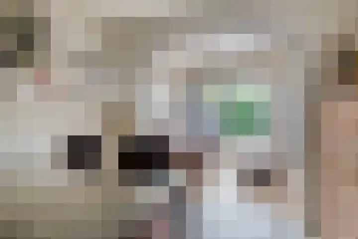 Riekusweel 20 Bruinisse thumbnail 9