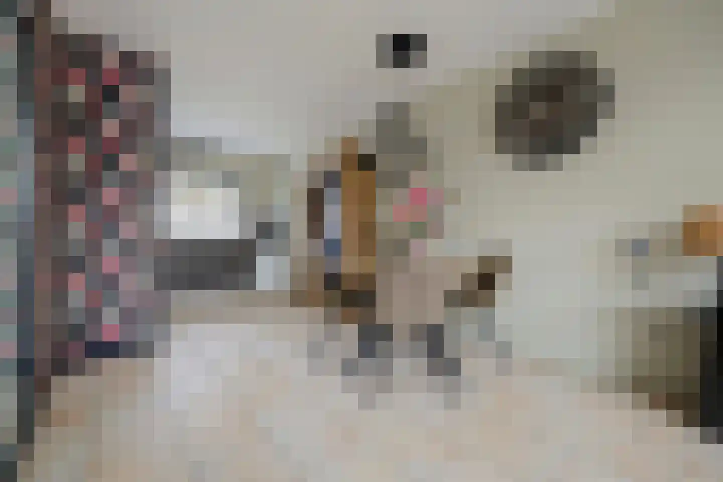 Riekvoorde 16 Spijkenisse thumbnail 10