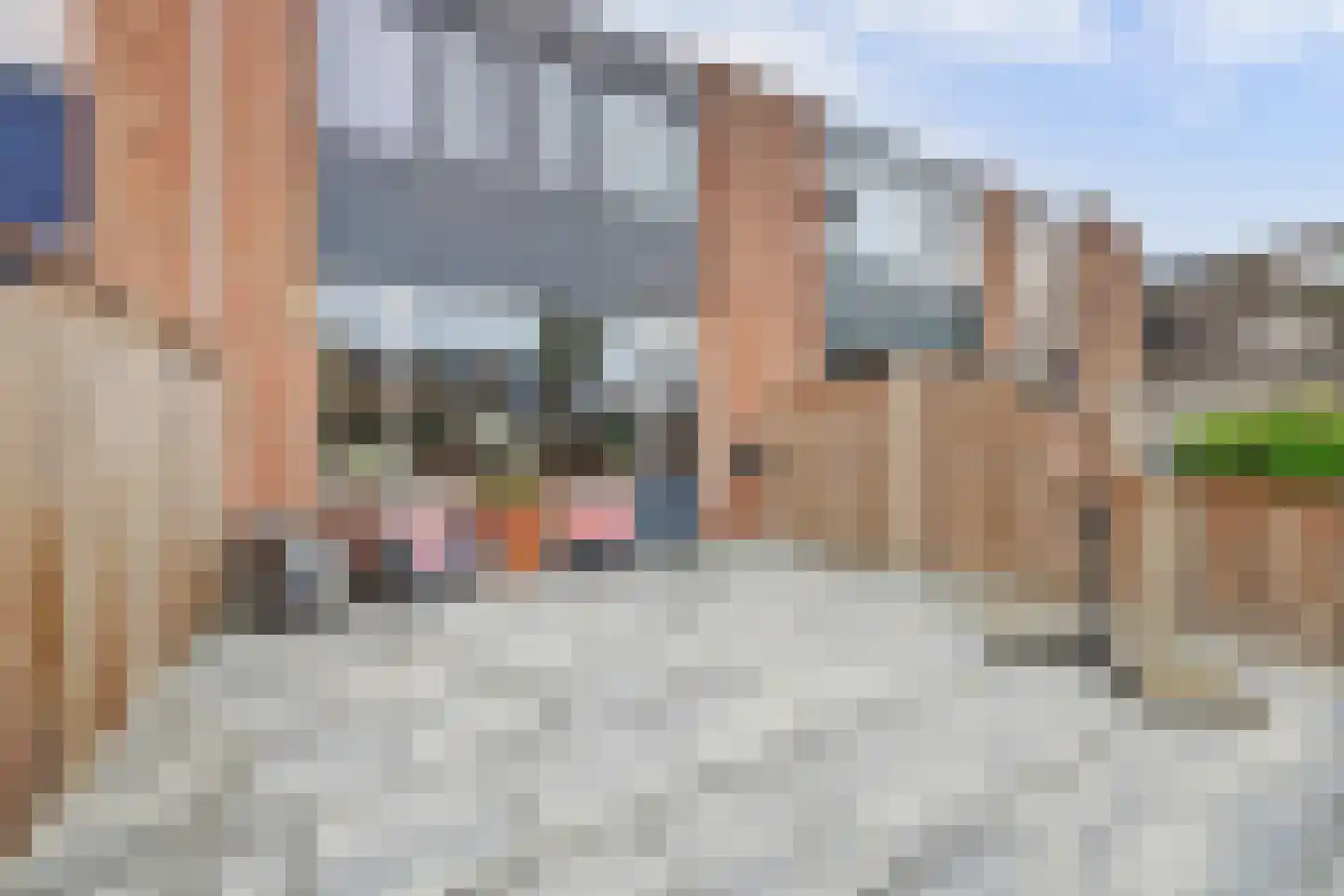 Riekvoorde 16 Spijkenisse thumbnail 11