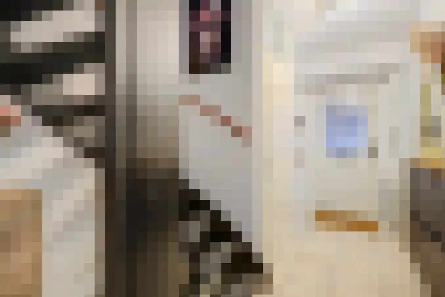 Riekvoorde 16 Spijkenisse thumbnail 16
