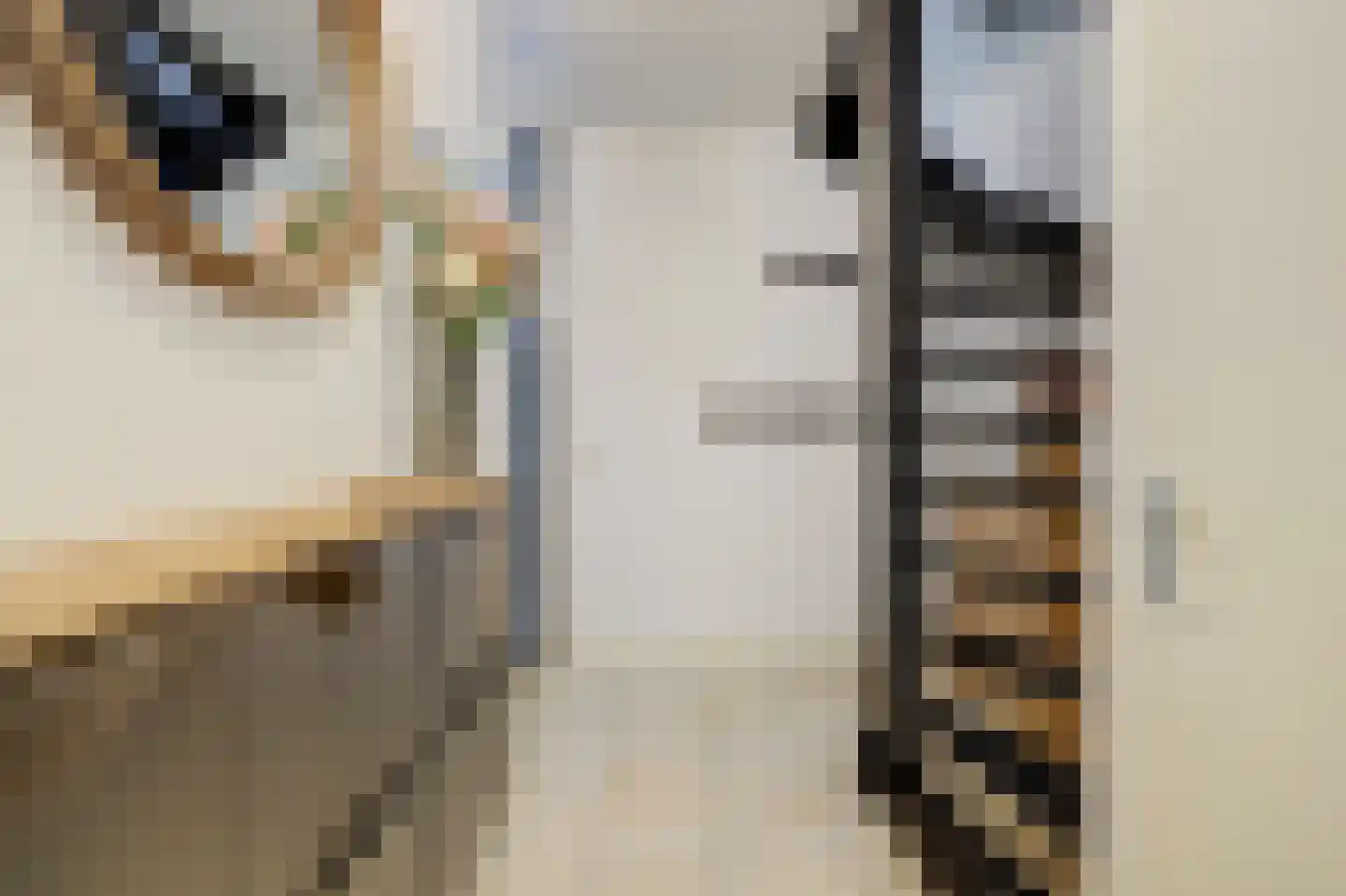 Riekvoorde 16 Spijkenisse thumbnail 17